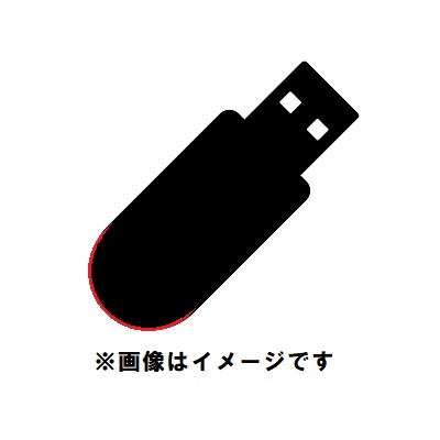SanDisk USB