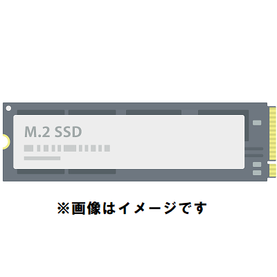Western Digital 内蔵SSD 250GB WD Blue SA510 SATA SSD M.2 2280 WDS250G3B0B 【4,679円】 送料無料 クーポン割引特価！