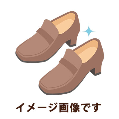 ジロンカ【スメルキラー 婦人靴用】￥980円 送料無料 ＋ ポイント10% 特価セール中！